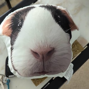 Baz added a photo of their purchase