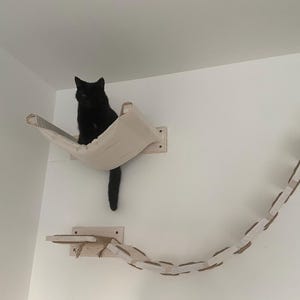 Riffat adicionaram uma foto da sua compra