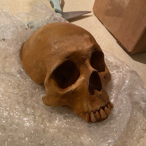 Jacquelyn added a photo of their purchase