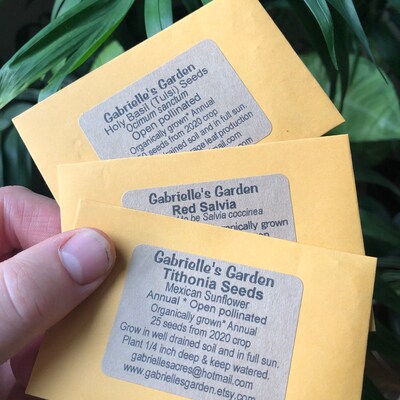 Creole Tomato Seeds – Heat Tolerant Heirloom For Gulf Region – NON-GMO, Free Shipping (Southeast Seeds)