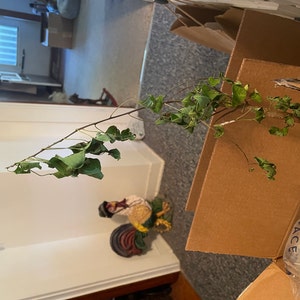 Jill ha añadido una foto de su compra