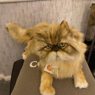 Realistic Stuffed Persian Cat Plush Replica, Lifelike Persian Cat ...