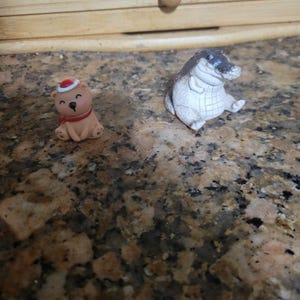 Saloni added a photo of their purchase