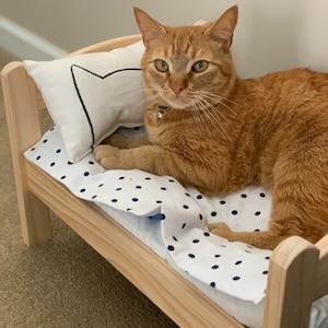 Nicole added a photo of their purchase