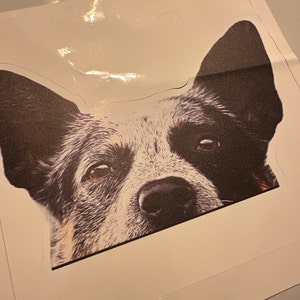 lori added a photo of their purchase
