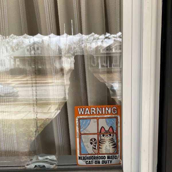 No Soliciting Sign Window Cling Goth violators Will Be Sacrificed ...