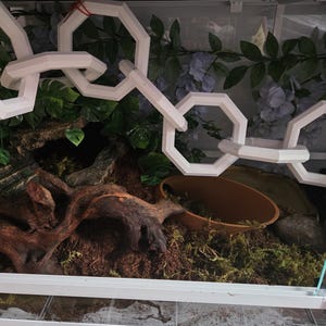 Audrey added a photo of their purchase