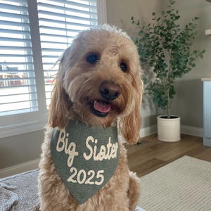 Gracie ha añadido una foto de su compra
