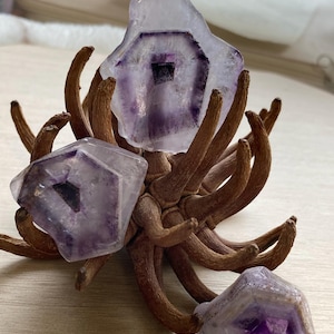 ai added a photo of their purchase