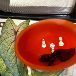 Etsy buyer added a photo of their purchase