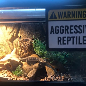 Autumn added a photo of their purchase
