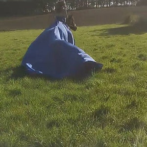Elodie lade till en bild av sitt köp
