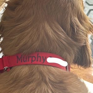Kelly added a photo of their purchase