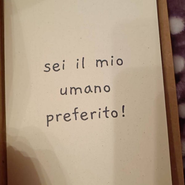 Stuff4 Divertente Biglietto Di Anniversario Fidanzato Marito Da Fidanzata Moglie – Immersioni Ostriche – Biglietto Di Compleanno Maleducato Uomini Lui Donne Lei 145mm Biglietti Di - Foto 8