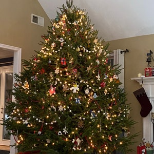 Lisa added a photo of their purchase