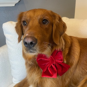 Natali added a photo of their purchase