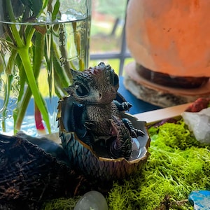 ドラゴンの孵化、卵の殻に入ったかわいい新生児ドラゴン、濃い虹色の