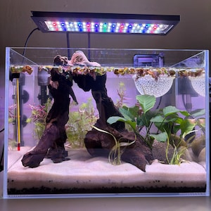 ivy added a photo of their purchase
