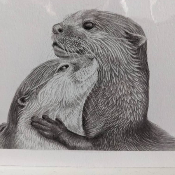 Sheep Art Print - Hand Drawn Animal Pencil Drawing A4 / A5 Sizes Giclee ...