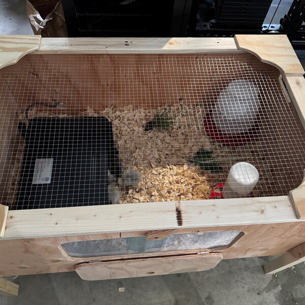 Ben's E-Z Brooder – Premium Wooden Poultry Brooder With Lifting Mesh ...
