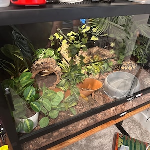 Paige added a photo of their purchase