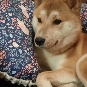 Silke adicionaram uma foto da sua compra