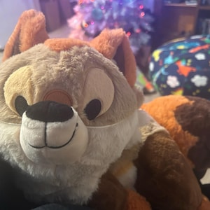 Ayden ha añadido una foto de su compra