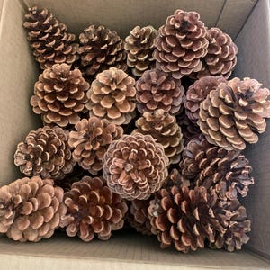 Tam added a photo of their purchase