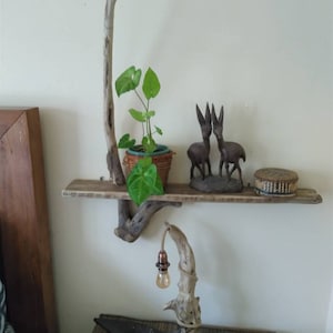 judy added a photo of their purchase