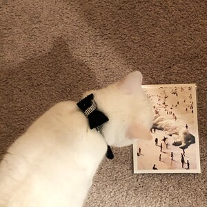 Kris added a photo of their purchase