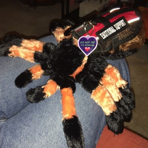 Jayce added a photo of their purchase