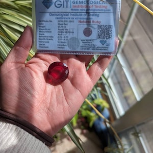 Anne adicionaram uma foto da sua compra