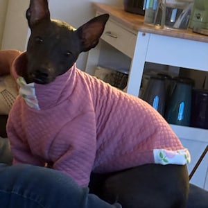 Heather added a photo of their purchase