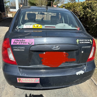 Pedro Pascal Bumper Sticker Gen Z, You Can Scream My Name as Loud as ...