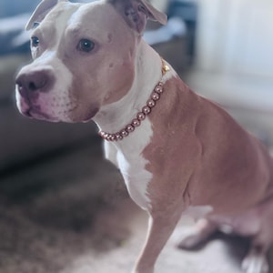 Danielle ha añadido una foto de su compra