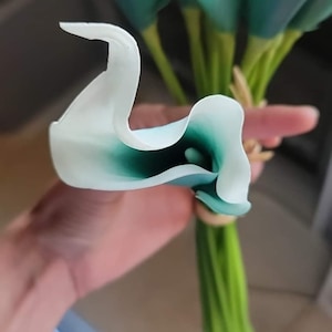 Cassie added a photo of their purchase