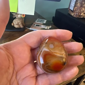 Tina a ajouté une photo de son achat