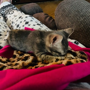 Codi added a photo of their purchase