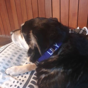 Laura heeft een foto van zijn/haar aankoop toegevoegd