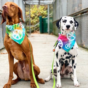 Julie added a photo of their purchase