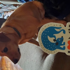 Evalynn added a photo of their purchase