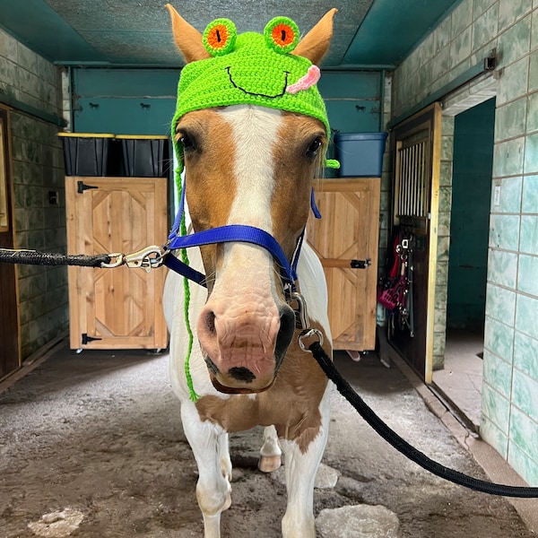 horse-bonnet-horse-frog-hat-horse-clothing-frog-hat-equestrian