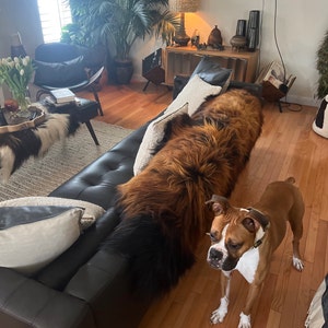 Karrieann added a photo of their purchase