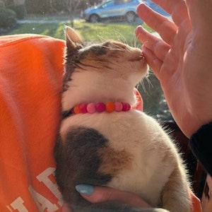 Janell added a photo of their purchase