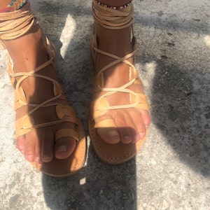 Paula added a photo of their purchase