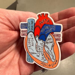 Taylor ha añadido una foto de su compra