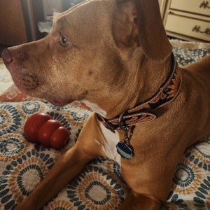 April added a photo of their purchase