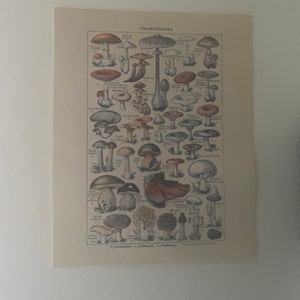 Etsy-koper heeft een foto van de aankoop toegevoegd