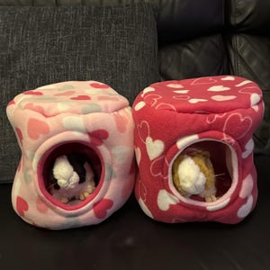Hayley added a photo of their purchase