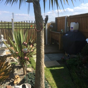 Debbie added a photo of their purchase